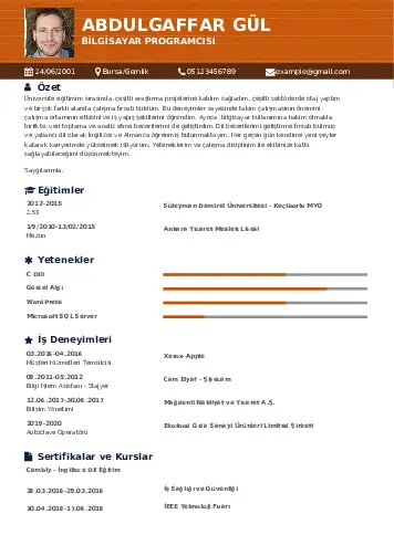 Bilgisayar Programcısı CV Örnekleri cv indir